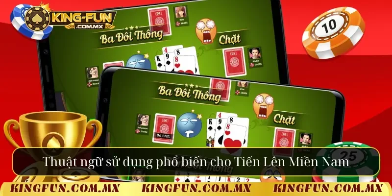 Thuật ngữ sử dụng phổ biến cho Tiến Lên Miền Nam